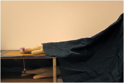 The Onset Time of the Ownership Sensation in the Moving Rubber Hand Illusion